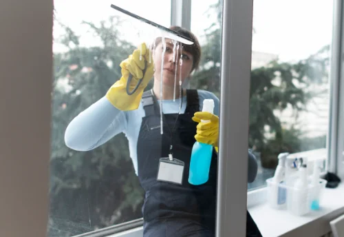 Nettoyage de vitres intérieures et extérieures à Saint-Thomé